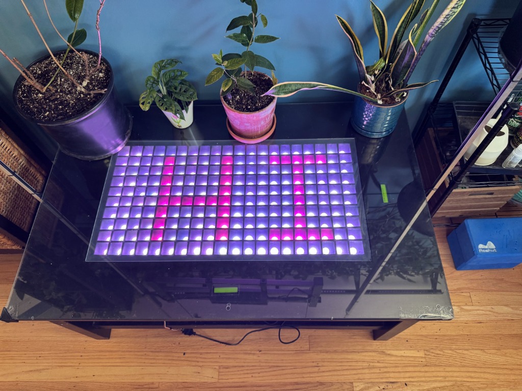 Plants and a glowing purple keyboard display on a glass table