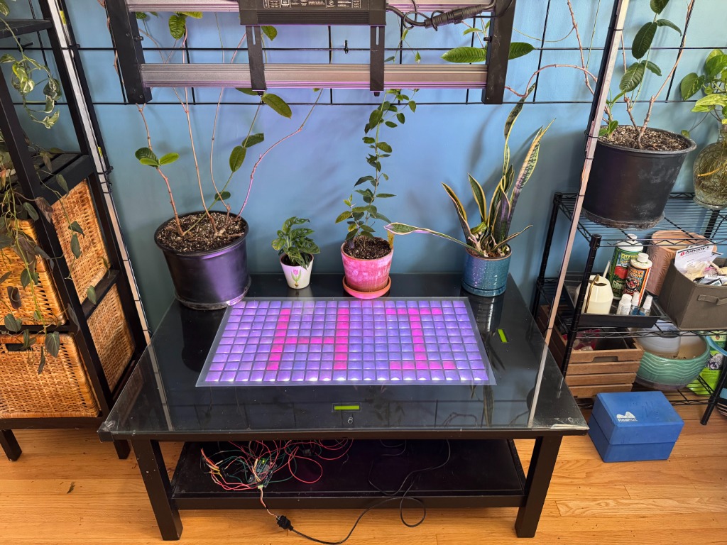 The finished LED game table glowing beneath the plants